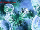 Corona Virus